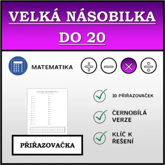 Přiřazovačka: Velká násobilka do 20